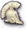 Head
